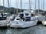 Norseman 38